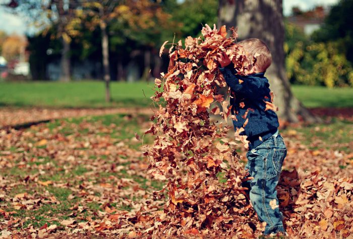 Картинка маленький мальчик, ребенок бросает осенние листья