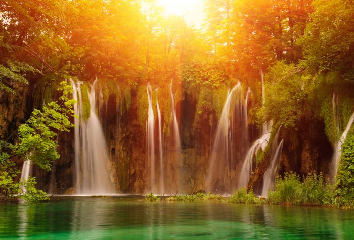 Картинка водопад в зеленом лесу на закате солнца