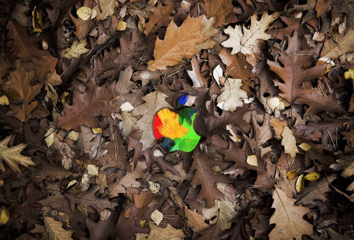 Картинка разноцветный Apple логотип на опавших листьях
