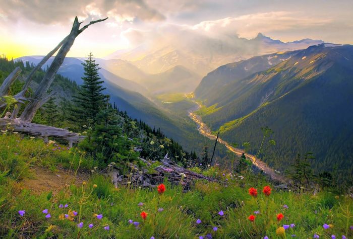 Картинка невероятный пейзаж, зелень, трава, деревья, горы, закат