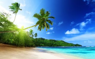 экзотический остров, пальмы, побережье, песок