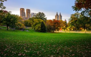 опавшие листья на зеленой траве в парке Central Park, Нью-Йорк
