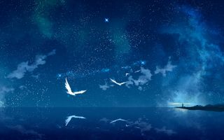 небо, птицы, звезды, ночь, отражение в океане