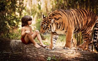 мальчик возле тигра, Шерхан и Маугли, книги джунглей
