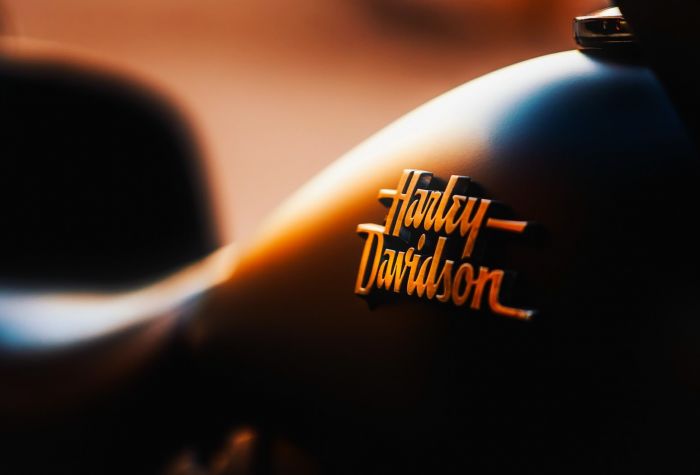 Картинка надпись, логотип Harley Davidson на баке мотоцикла
