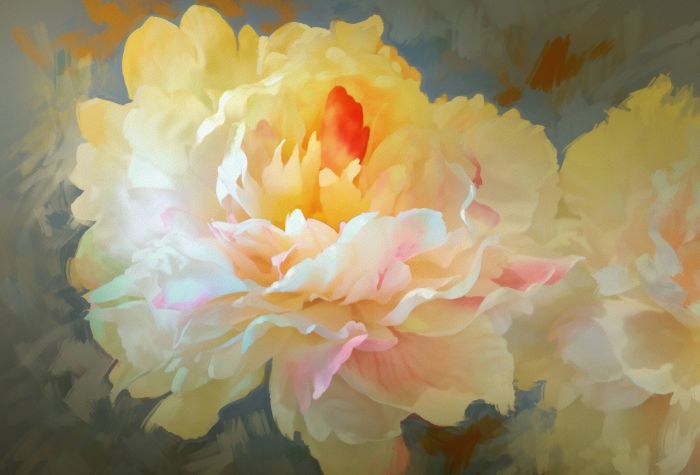 Картинка живописный цветок пион