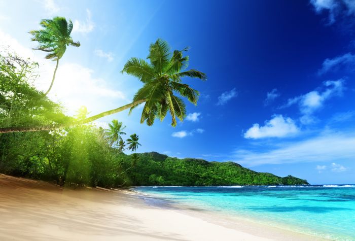 Картинка экзотический остров, пальмы, побережье, песок