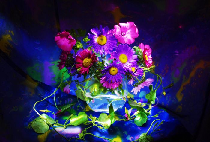 Картинка разноцветные цветы в вазе в темной комнате