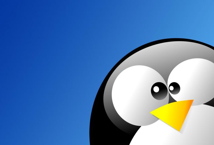 Картинка Tux пингвин талисман, логотип Linux