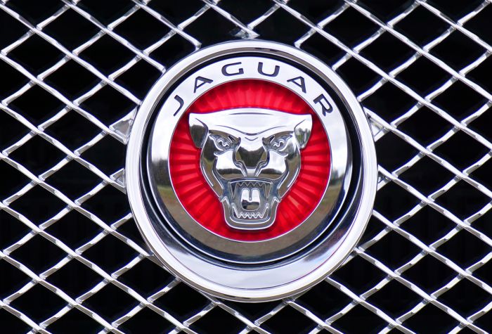 Картинка Ягуар (Jaguar) значок, эмблема на решетке