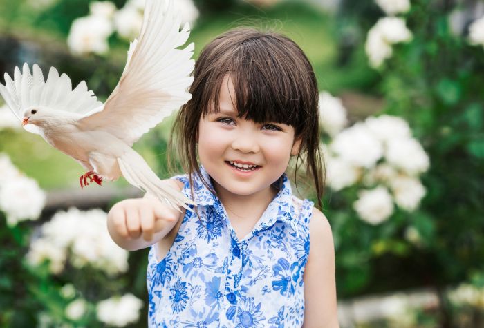 Картинка белый голубь и маленькая девочка на фоне цветов