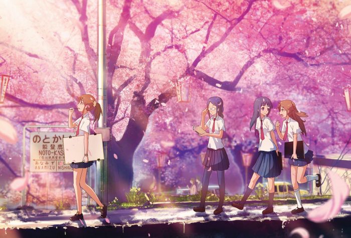 Картинка аниме, школьницы идут через парк с цветущей сакурой