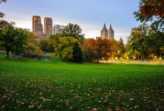 Картинка опавшие листья на зеленой траве в парке Central Park, Нью-Йорк