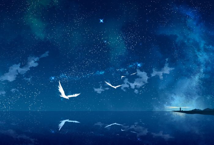 Картинка небо, птицы, звезды, ночь, отражение в океане