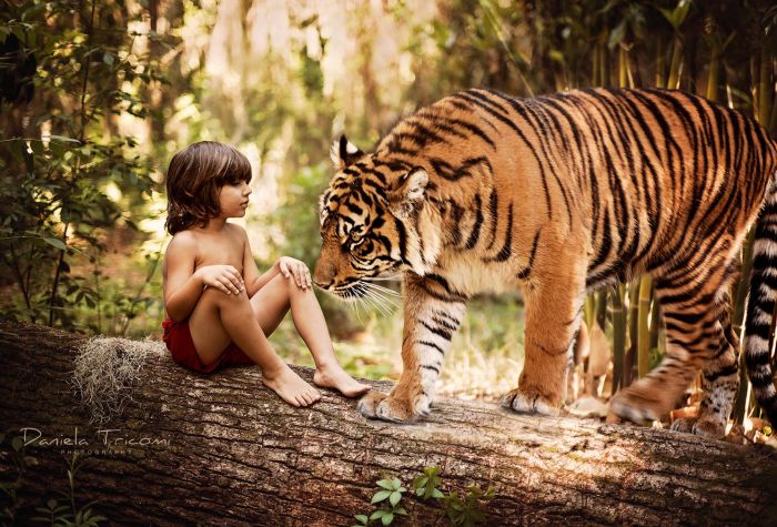 Картинка мальчик возле тигра, Шерхан и Маугли, книги джунглей