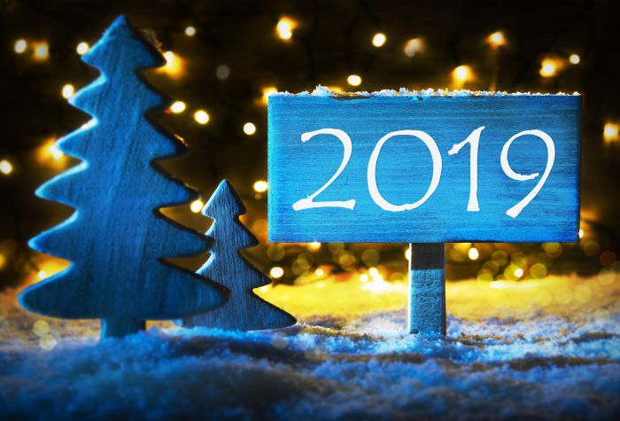 Картинка Новый Год 2019, табличка, елки, гирлянды, снег, ночь