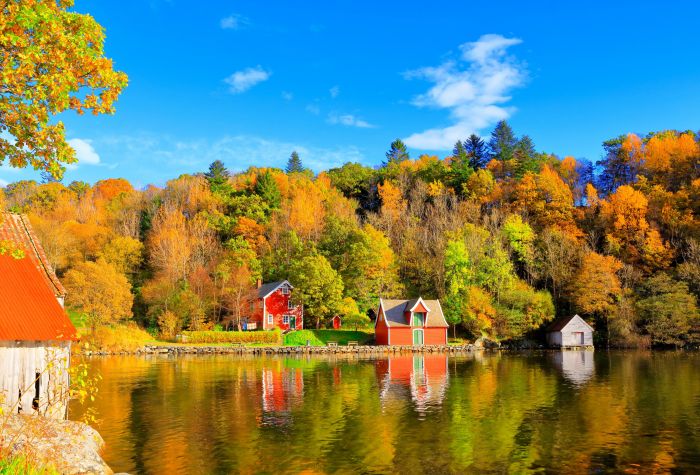 Картинка осень Норвегии на берегу озера