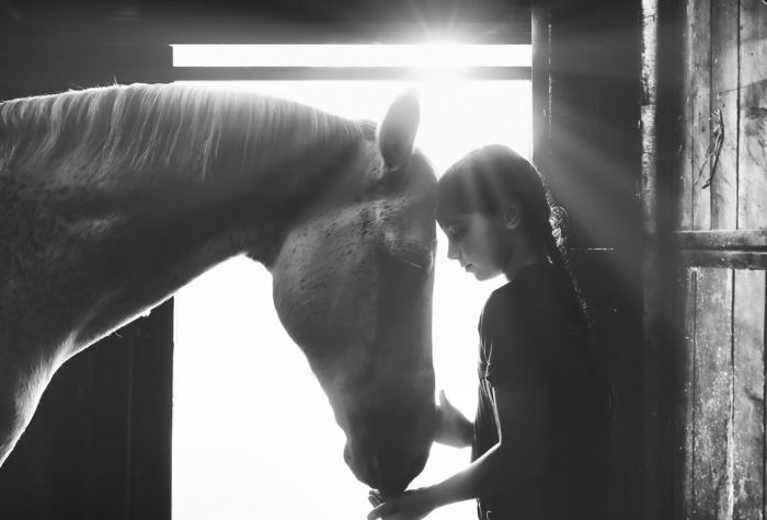 Картинка девочка и лошадь, дружба, любовь