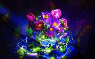 разноцветные цветы в вазе в темной комнате