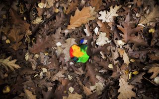 разноцветный Apple логотип на опавших листьях