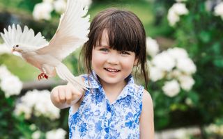 белый голубь и маленькая девочка на фоне цветов