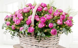розовый букет, цветы розы в корзине
