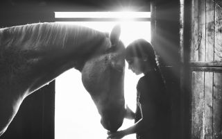 девочка и лошадь, дружба, любовь